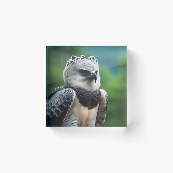 Item preview, Harpy Eagle Art #17 | Harpy Eagle Lovers designed and sold by ksgraphics222.