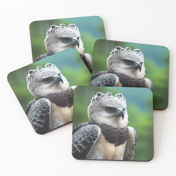 Item preview, Harpy Eagle Art #17 | Harpy Eagle Lovers designed and sold by ksgraphics222.