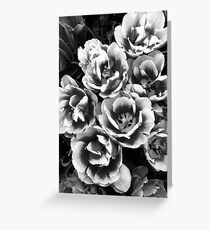 Flowers- Greyscale Greeting Card