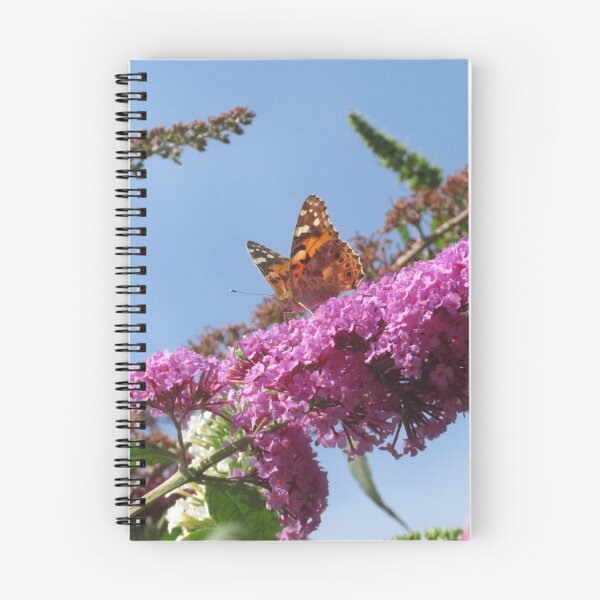 Item preview, Painted Lady & Buddleia  designed and sold by wiggyofipswich.
