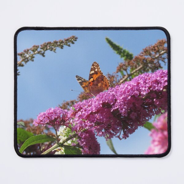 Item preview, Painted Lady & Buddleia designed and sold by wiggyofipswich.