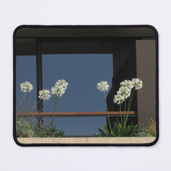 Item preview, White Agapanthus designed and sold by wiggyofipswich.