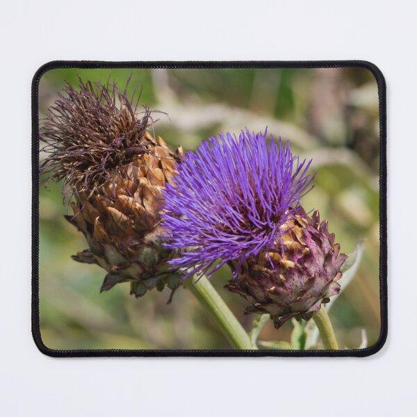 Item preview, Giant Thistle. designed and sold by GingerMan2550.