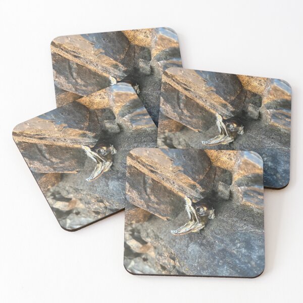 Item preview, Fossilized Fish in Stone designed and sold by dinosinspace10.