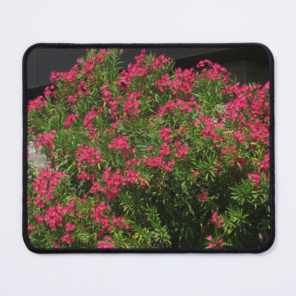 Item preview, Oleander designed and sold by wiggyofipswich.