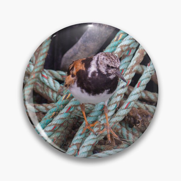 Item preview, Turnstone in a Tangle designed and sold by GingerMan2550.