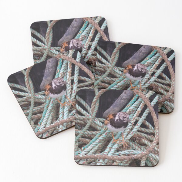 Item preview, Turnstone in a Tangle designed and sold by GingerMan2550.