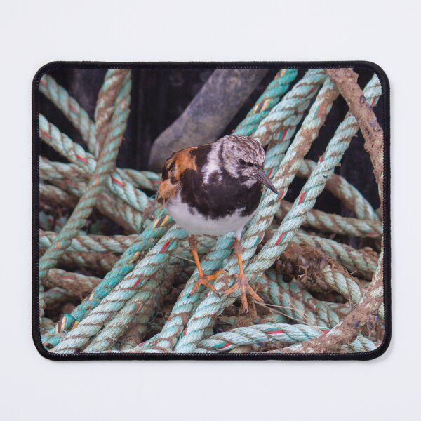 Item preview, Turnstone in a Tangle designed and sold by GingerMan2550.