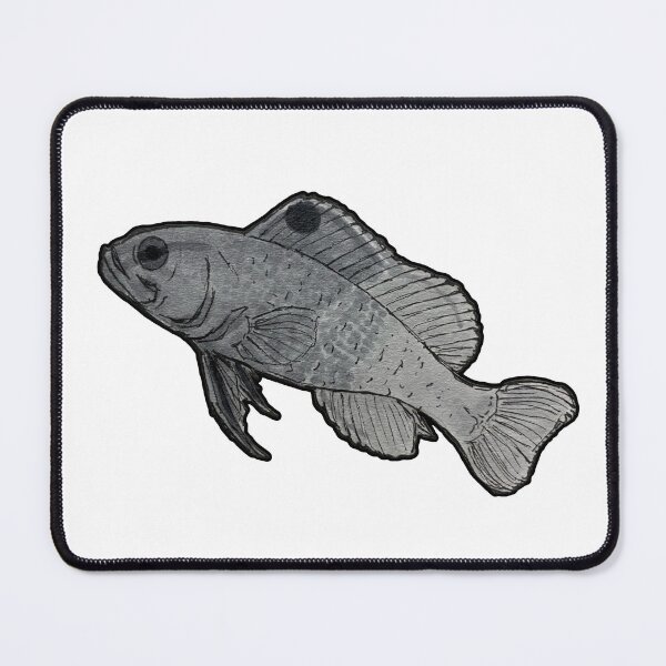 Item preview, Royal Gramma (Gramma loreto) designed and sold by ItalianElephant.