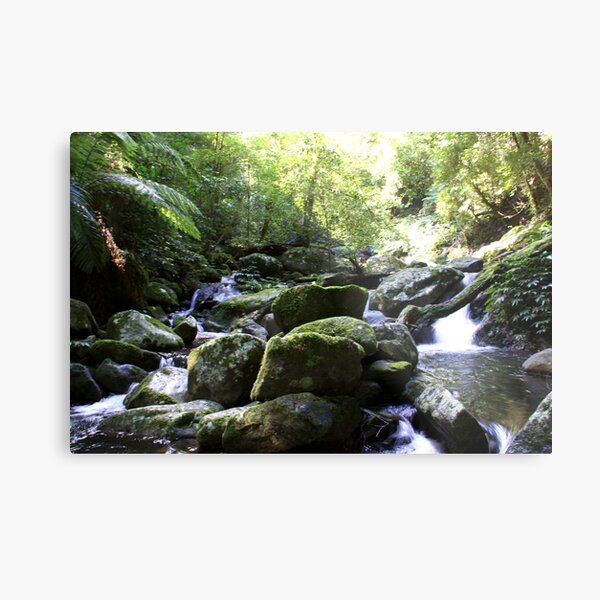 Item preview, Creek Lamington NP designed and sold by smallan.
