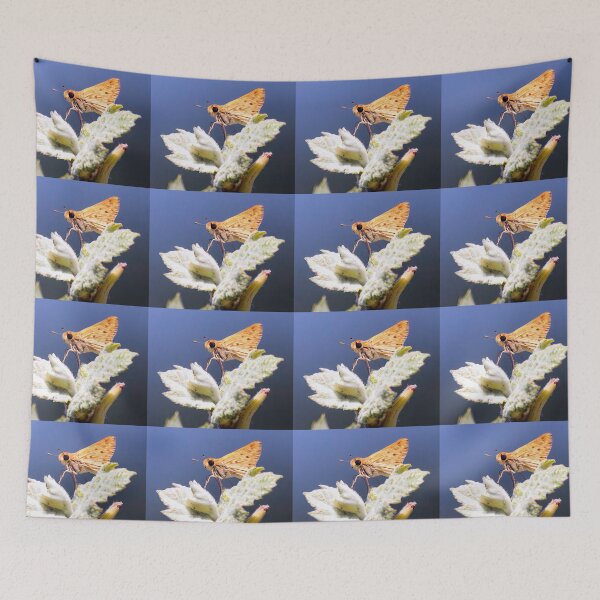 Item preview, Skipper Butterfly designed and sold by CarolM.