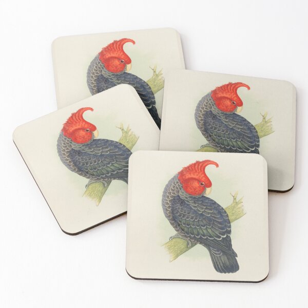 Item preview, Gang Gang Cockatoo Scientific Vintage Illustration designed and sold by Lacasadellora.