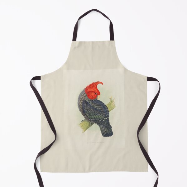 Item preview, Gang Gang Cockatoo Scientific Vintage Illustration designed and sold by Lacasadellora.