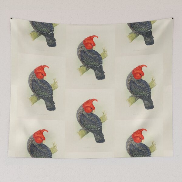 Item preview, Gang Gang Cockatoo Scientific Vintage Illustration designed and sold by Lacasadellora.