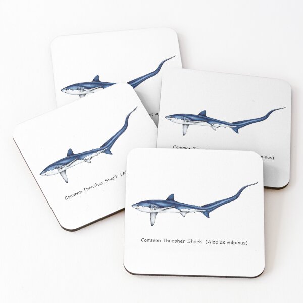 Item preview, Common Thresher Shark designed and sold by AzalaiBubbles.
