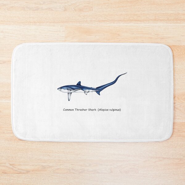 Item preview, Common Thresher Shark designed and sold by AzalaiBubbles.