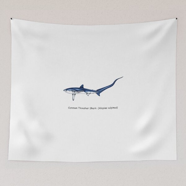Item preview, Common Thresher Shark designed and sold by AzalaiBubbles.