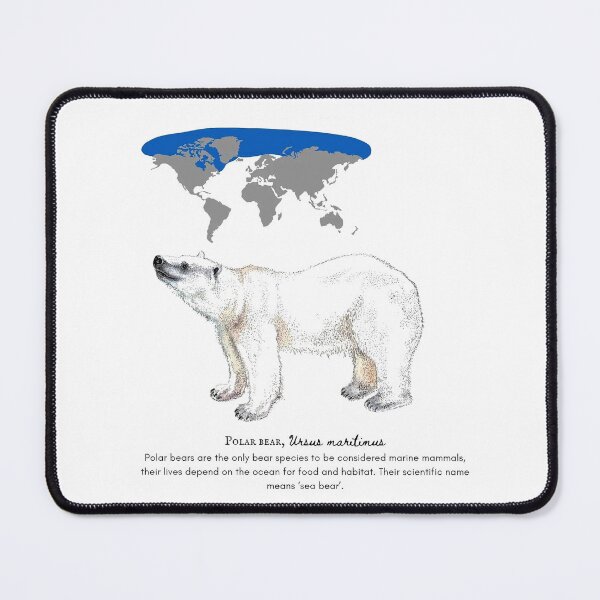 Item preview, Polar Bear Ursus Maritimus designed and sold by AzalaiBubbles.