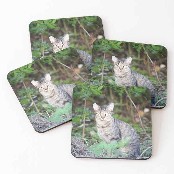 Item preview, Stray Cat In The Woods designed and sold by Cynthia48.