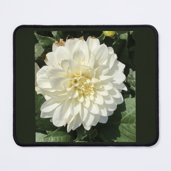 Item preview, Almost Perfect White Flower designed and sold by becca6125.