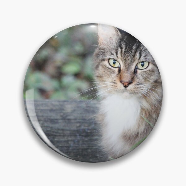 Item preview, A Beautiful Cat To Love designed and sold by Cynthia48.