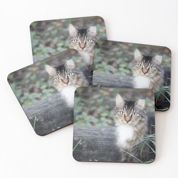 Item preview, A Beautiful Cat To Love designed and sold by Cynthia48.
