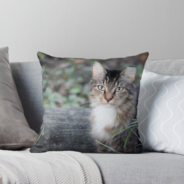 Item preview, A Beautiful Cat To Love designed and sold by Cynthia48.