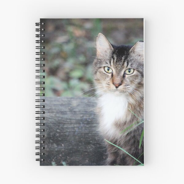 Item preview, A Beautiful Cat To Love designed and sold by Cynthia48.