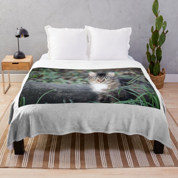 Item preview, A Beautiful Cat To Love designed and sold by Cynthia48.
