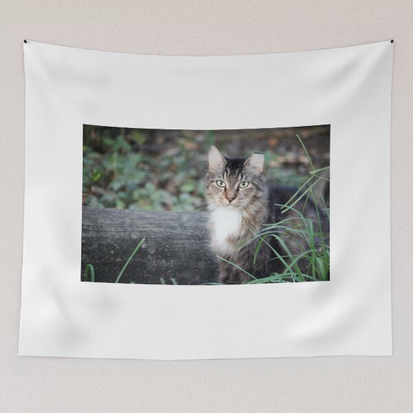 Item preview, A Beautiful Cat To Love designed and sold by Cynthia48.