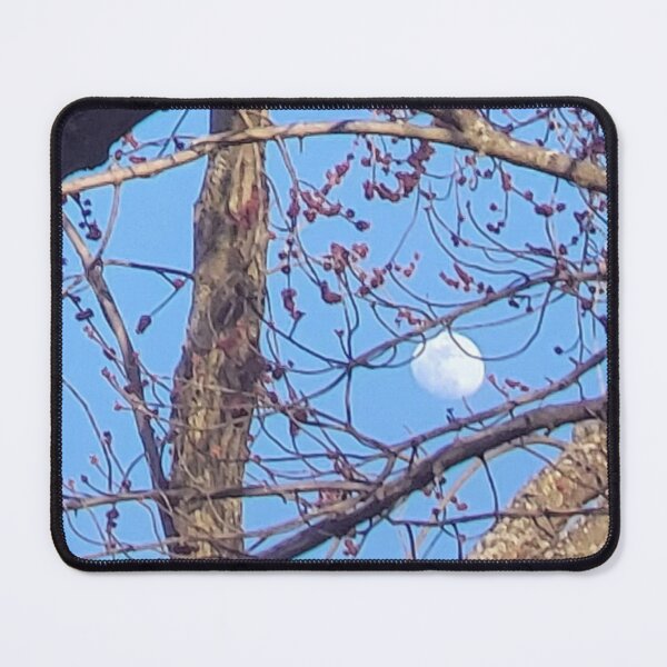 Item preview, Daytime View of the Moon through Tree Branches designed and sold by WhiteSoftPetals.