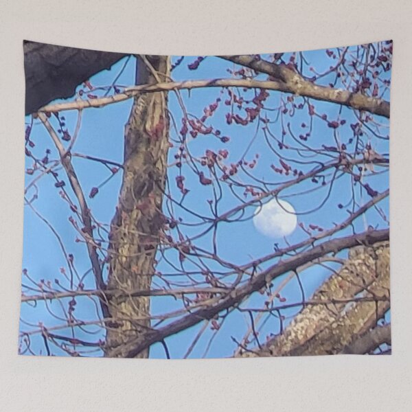 Item preview, Daytime View of the Moon through Tree Branches designed and sold by WhiteSoftPetals.