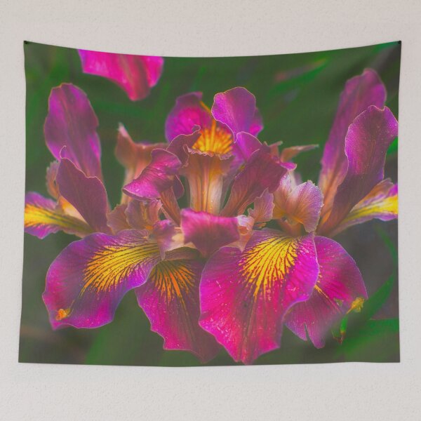 Item preview, Irises After Rain designed and sold by ElderIslesPress.