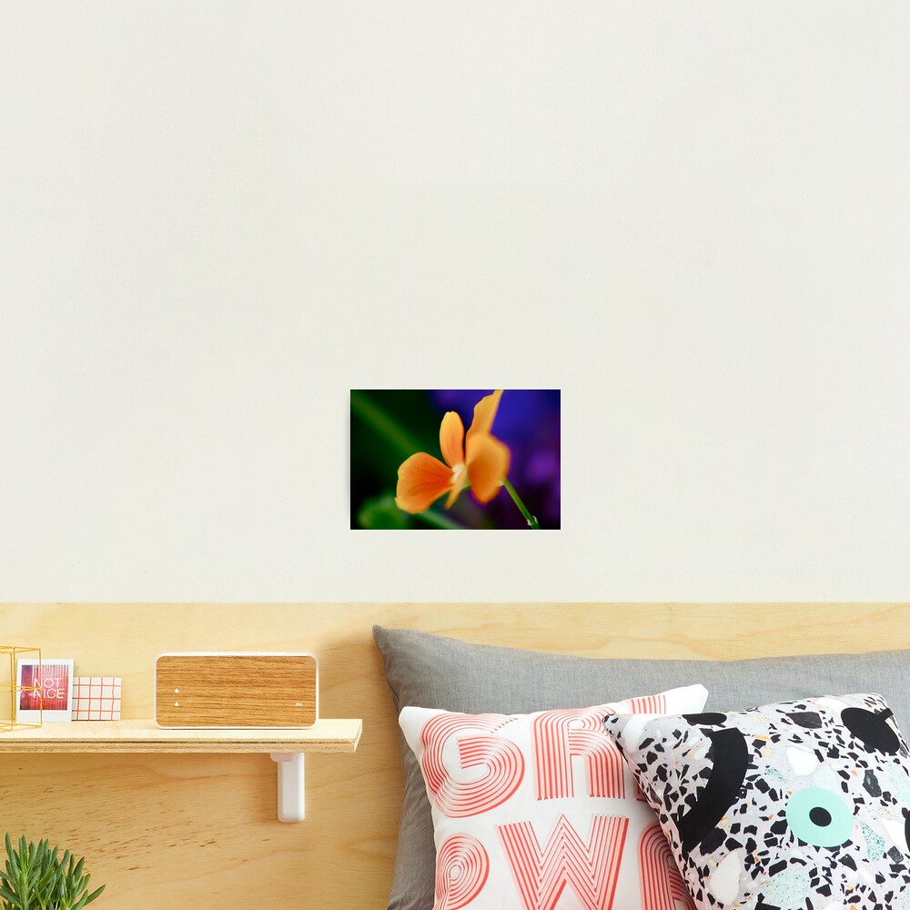 Item preview, Photographic Print designed and sold by Photomojo.