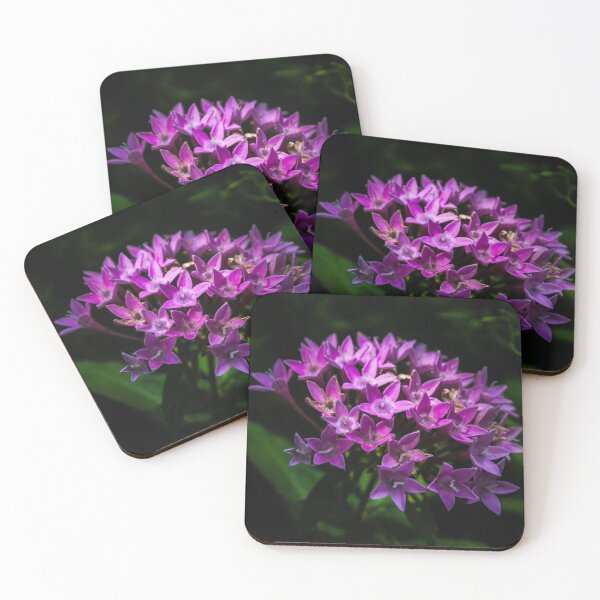 Item preview, floral designed and sold by wrathchildphoto.