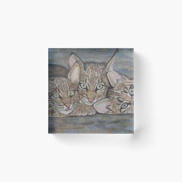 Item preview, JBA-Bobcat Kittens designed and sold by JoanBeaudryART.