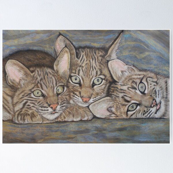 Item preview, JBA-Bobcat Kittens designed and sold by JoanBeaudryART.