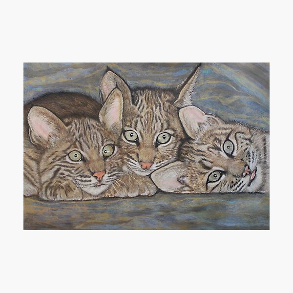 Item preview, JBA-Bobcat Kittens designed and sold by JoanBeaudryART.