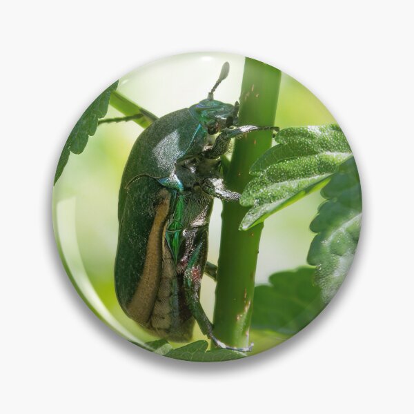 Item preview, Green June Beetle designed and sold by CarolM.