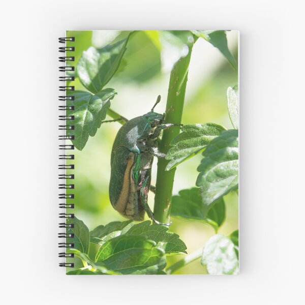 Item preview, Green June Beetle designed and sold by CarolM.