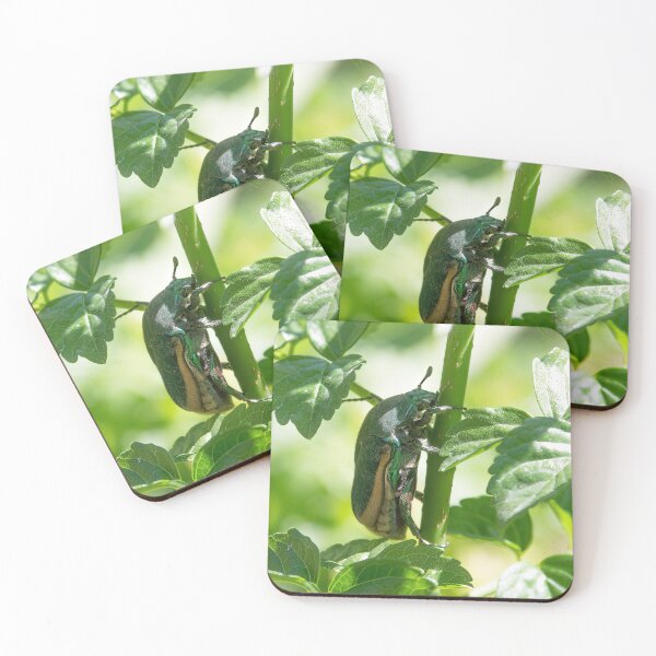 Item preview, Green June Beetle designed and sold by CarolM.