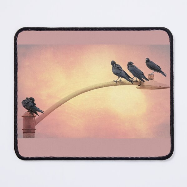 Item preview, Crows Hanging Out on the Lamp Post designed and sold by CarolM.
