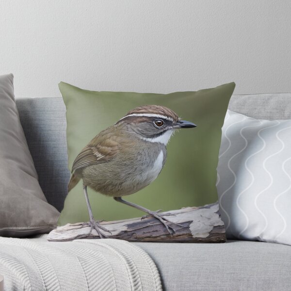 Item preview, White browned Scrubwren on a Branch designed and sold by laguitan10.