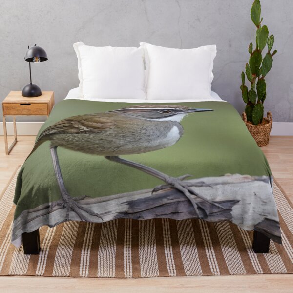 Item preview, White browned Scrubwren on a Branch designed and sold by laguitan10.
