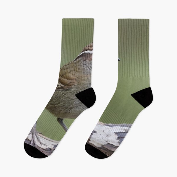 Item preview, White browned Scrubwren on a Branch designed and sold by laguitan10.