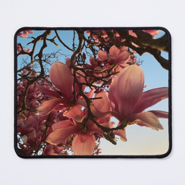 Item preview, Magnolia at dusk designed and sold by RainbowRhino.