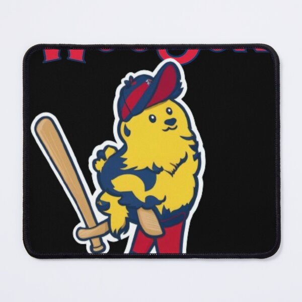 Item preview, Best woosox worcester red sox designed and sold by Wisdom Truth.