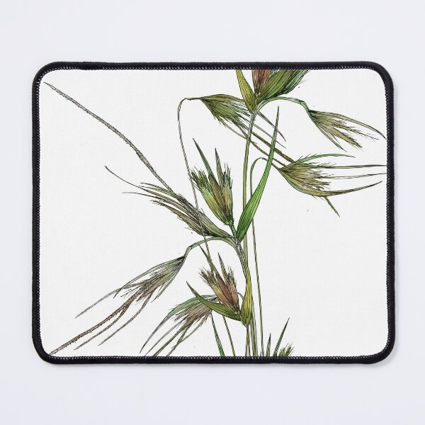 Item preview, Kangaroo Grass  designed and sold by PAPERPLAN.