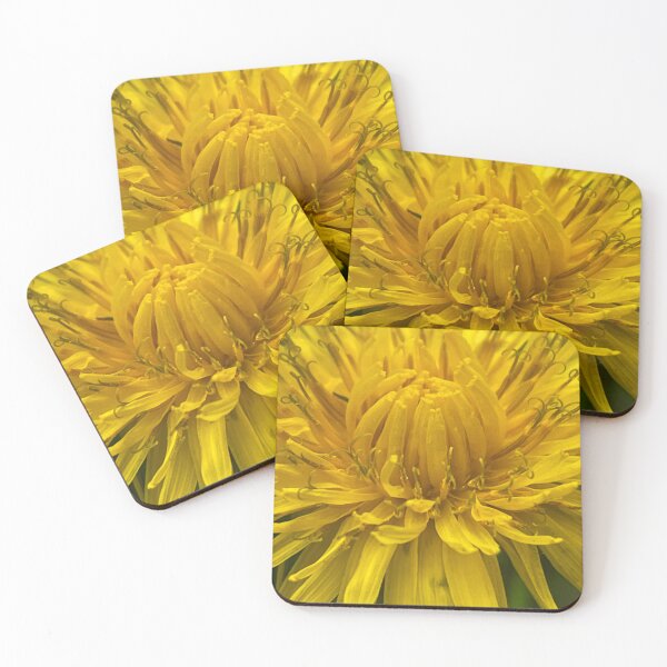 Item preview, Dandelion designed and sold by AnnasFloristry.