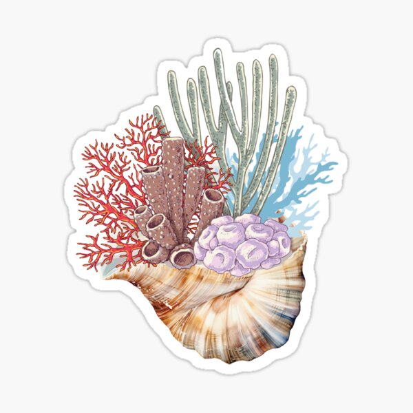 Artikel-Vorschau von Muscheln und Korallen, designt und verkauft von Vachala.